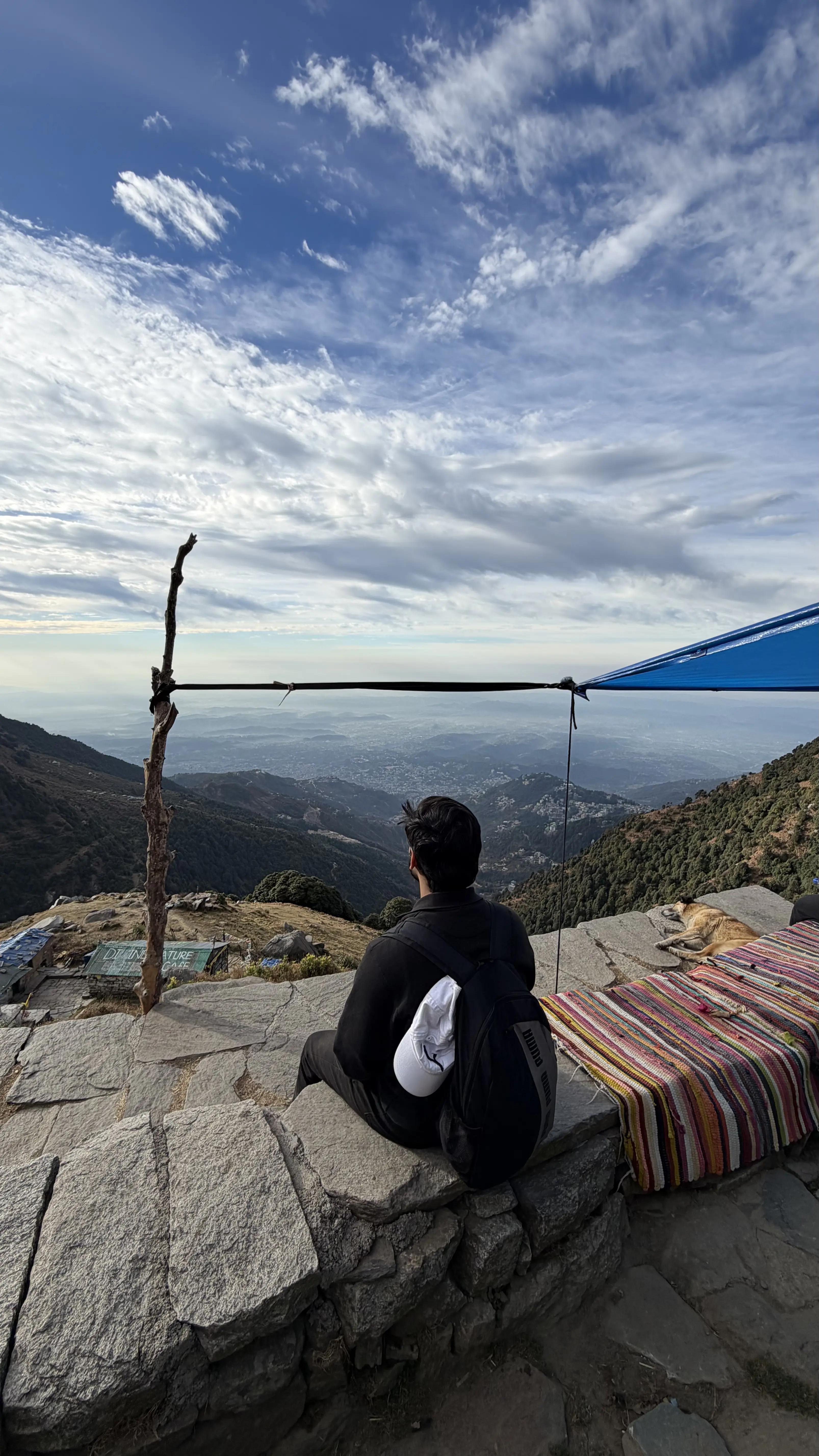 Food and dining experiences